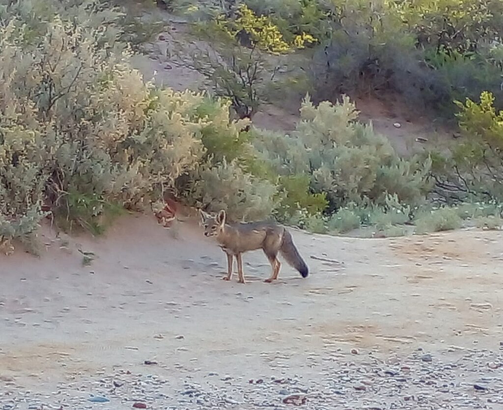 Naturaleza de Cerro Policía