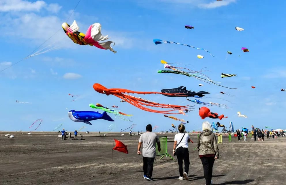 Fiesta del Mar