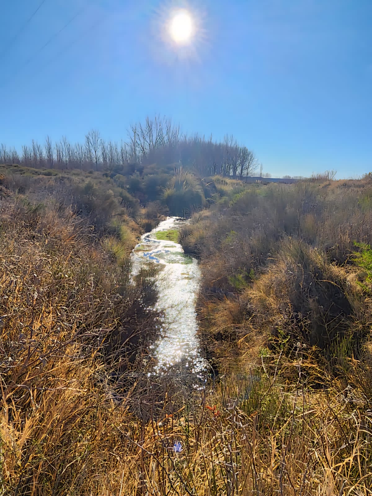 Valle Verde